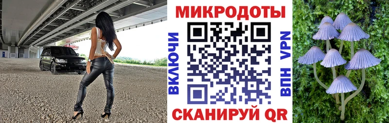 Галлюциногенные грибы Psilocybe  блэк спрут ТОР  Рыльск  закладка 